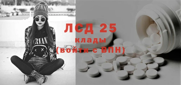 шишки Алексин