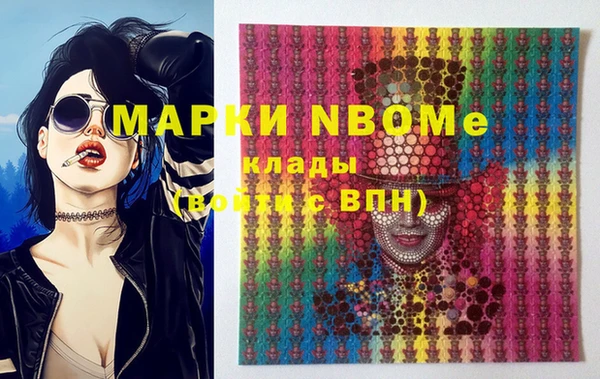 шишки Алексин